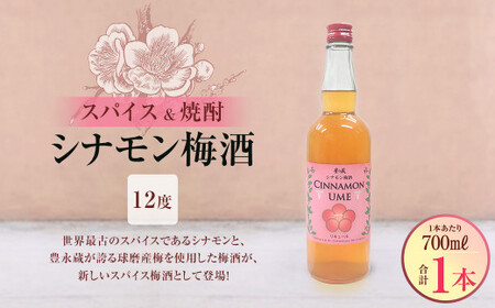 スパイス&焼酎 シナモン梅酒12度 700ml×1本