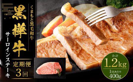 y3ցz  T[CXe[L 400g i200g×2j v1200g јa ~ Xe[L Ⓚ