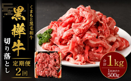 [2回定期便] 黒樺牛 切り落とし500g (500g×1パック) 計1000g 黒毛和牛 牛肉 切り落とし肉 冷凍