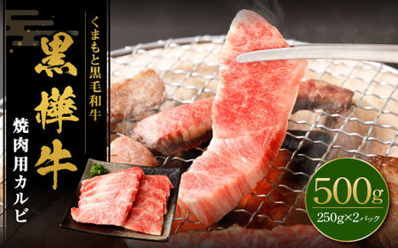 黒樺牛 焼肉用カルビ 500g （250g×2パック） 黒毛和牛 焼き肉 牛肉 冷凍