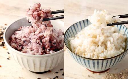 ヘルシー五穀米ともち丸麦セット 五穀米 250g×1袋 もち丸麦 320g×1袋 合計570g 雑穀米 雑穀 黒米 玄米 赤米 麦 もち麦 麦ごはん ご飯 食物繊維 セット 常温 お取り寄せ 国産 九州産 熊本県 湯前町 [2025年11月上旬より発送開始]