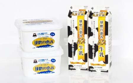 球磨の恵み「A2牛乳」と「球磨の恵みヨーグルト(加糖)」 セット 生乳 乳製品 カゼイ菌 ぎゅうにゅう ミルク