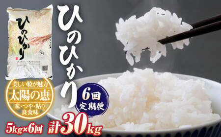 �y�����6��z�q�m�q�J��5kg×1��