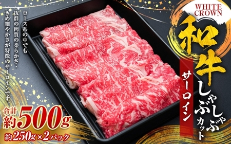 WHITECROWN 和牛サーロインしゃぶしゃぶカット ( 約500g ) 和牛 サーロイン しゃぶしゃぶ 国産牛 高級肉 旨味 国産 熊本県産 お肉 肉 にく ニク 牛肉 牛 和牛 冷凍