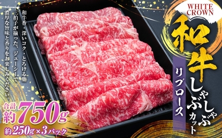 WHITECROWN 和牛リブロースしゃぶしゃぶカット （ 約750g ） 和牛 リブロース しゃぶしゃぶ 霜降り 希少部位 国産牛 コク 国産 熊本県産 お肉 肉 にく ニク 牛肉 牛 和牛 冷凍
