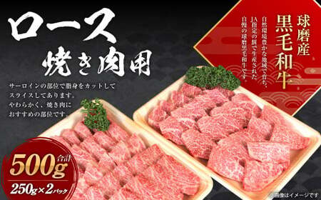 球磨産 黒毛和牛 ロース 焼き肉用  500g (250g×2パック) 