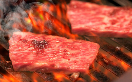 肥後のあか牛 焼肉用 500g 熊本県産和牛