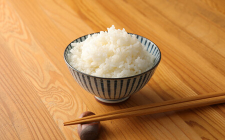 [令和5年産]水上村のお米 ヒノヒカリ 10kg入り 精米 米