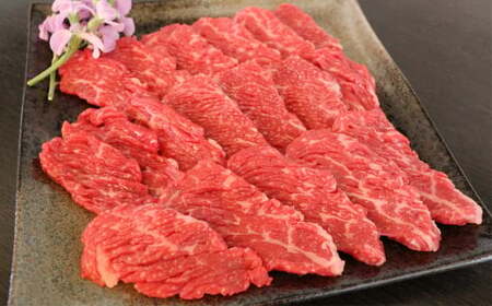 [GI認証] くまもとのあか牛 ロース 焼肉用 約500g 肉 牛肉 あか牛 赤牛