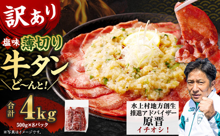 y󂠂z؂苍^XCX 4kgi500g×8j ؂ ^ XCX  BBQ ē F{ 㑺