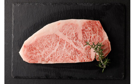 黒樺牛 [2回 定期便] 肉厚 サーロイン ステーキ 300g×1パック 計600g 牛肉 ステーキ 和牛 牛 お肉 黒毛和牛 くろはなぎゅう 国産 九州産 熊本県産 冷凍