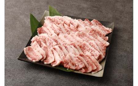 くまもと黒毛和牛 プレミアム和王 焼肉用(バラもしくは肩ロース) 計約600g(約300g×2) 黒毛和牛 和牛 牛肉 牛 お肉 肉 焼肉 バラ 肩ロース