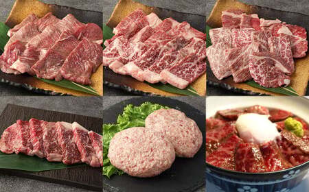 阿蘇あか牛満喫セット(モモ・上カルビ・上ロース・サーロイン・ハンバーグ・丼) 肉 お肉 牛肉 あか牛 赤身肉 お肉セット 詰め合わせ