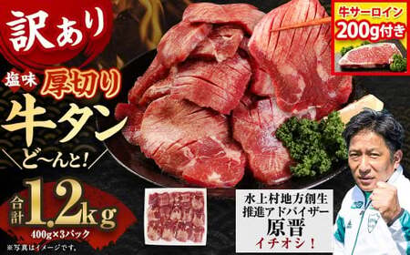 y󂠂zyʌz ؂苍^iHj 1.2kg{T[C200gZbg ؂ ^  BBQ ē F{ 㑺 Ly[ ܂
