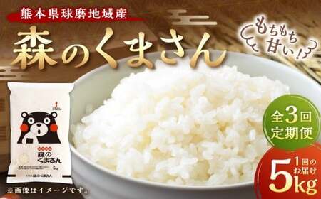 �y3�����ցz�F�{�������n��Y �X�̂��܂��� 5kg �����3�� �v15kg �� ���� �R�� ���� ���� ���� ���͂� ���Y �F�{�� �����