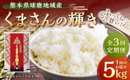 �y3�����ցz�F�{�������n��Y ���܂���̋P�� 5kg �����3�� �v15kg �� ���� �R�� ���� ���� ���� ���͂� ���Y �F�{�� �����