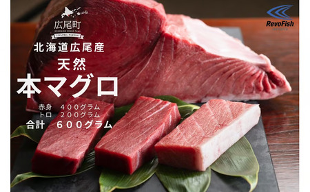 広尾産 本まぐろの刺し身(赤身400g、トロ200g)[まぐろ 国産 天然 本マグロ 黒マグロ クロマグロ 黒まぐろ 冷凍](AM0008)