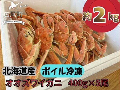 北海道産ボイルオオズワイガニ400g×5尾 合計2kg以上[かに カニ 蟹 海産物 海鮮 冷凍 ボイル オオズワイガニ 北海道](AM0011)