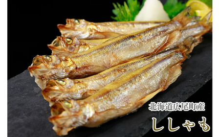 岡嶋水産 生乾しししゃも中オスメス40尾(C0042)