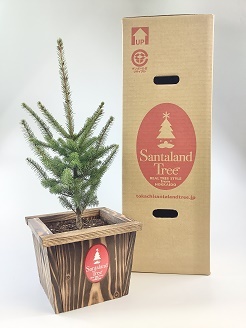 サンタランドツリーSサイズ(N0004)
