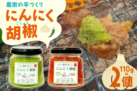 こしょう にんにく農家の手づくり にんにく胡椒 赤唐辛子 青唐辛子 各1個 計2個 [山之一 熊本県 五木村 51120357] にんにく 胡椒 唐辛子 ペースト 小分け