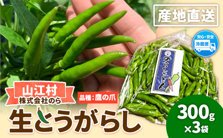 生とうがらし 300g×3袋 計900g 株式会社のら のらしごと人[8月中旬-9月末頃出荷]熊本県 球磨郡 山江村 唐辛子 とうがらし 生唐辛子 青唐辛子 鷹の爪 熊本県産 野菜