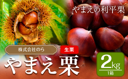 GI認証登録 やまえ栗 生栗 2kg 株式会社のら のらしごと人[9月下旬-10月中旬頃出荷]熊本県 球磨郡 山江村 栗 くり フルーツ 熊本県産 果物 利平 利平栗 