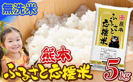 米 無洗米 家庭用 熊本 ふるさと応援 米 5kg[11月-12月より出荷予定(土日祝を除く)]熊本県産 白米 精米 山江村 ブレンド米 国産 洗わず コロナ おうちご飯 予約 返礼品 発送 配送 SDGs