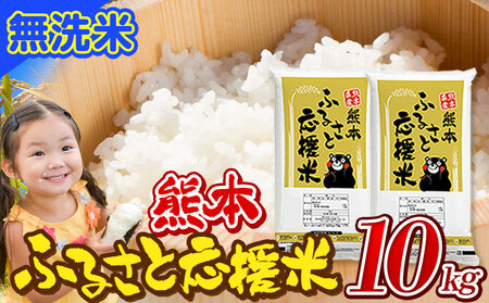 米 無洗米 家庭用 熊本 ふるさと応援 米 10kg[11月-12月より出荷予定(土日祝を除く)] 熊本県産 白米 精米 山江村 ブレンド米 国産 洗わず コロナ おうちご飯 予約 返礼品 発送 配送 SDGs