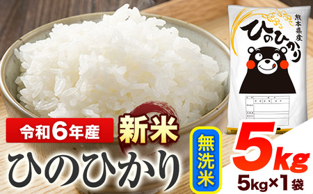 令和6年産 新米 早期先行予約受付中 ひのひかり 無洗米 5kg [11月‐12月より出荷予定] 熊本県産 無洗米 精米 ひの 送料無料 熊本県 山江村