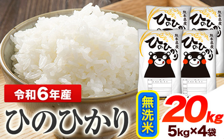 令和6年産 ひのひかり 無洗米 20kg [7-14日以内に出荷予定(土日祝除く)]無洗米無洗米無洗米