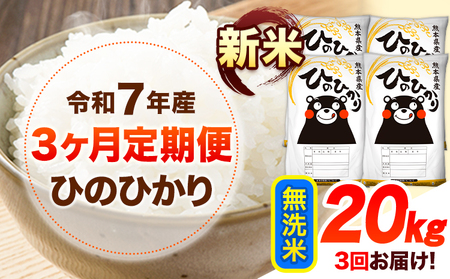 �ߘa7�N�Y�y3��������ցz�V�� ������ �Ђ̂Ђ��� 20kg �s���\���ݗ�������o�ׁt �F�{���Y ������ ���� �Ђ� �������� �F�{�� �R�]�� SDGs �� �R�� ���� ���Y