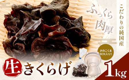 生きくらげ 1kg 鷹乃産業有限会社 [30日以内に出荷予定(土日祝除く)]熊本県 球磨郡 山江村 きくらげ きのこ 野菜