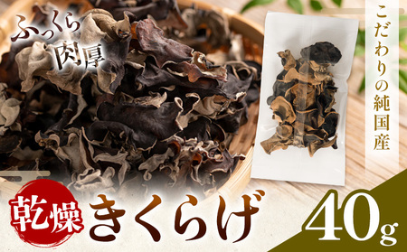 乾燥きくらげ 40g 鷹乃産業有限会社 [30日以内に出荷予定(土日祝除く)]熊本県 球磨郡 山江村 きくらげ きのこ 野菜