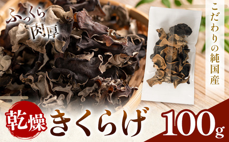 乾燥きくらげ 100g 鷹乃産業有限会社 《30日以内に出荷予定(土日祝除く)》熊本県 球磨郡 山江村 きくらげ きのこ 野菜