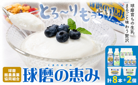 球磨の恵み ヨーグルト 計2個 のむヨーグルト 計8本 堪能セット 球磨酪農農業協同組合[30日以内に出荷予定(土日祝除く)]熊本県 球磨郡 山江村 球磨の恵みヨーグルト 球磨の恵みのむヨーグルト 加糖 砂糖不使用 熊本県産 生乳 使用