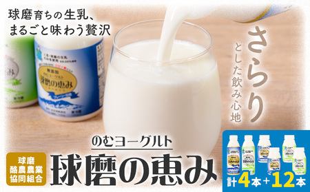球磨の恵み のむヨーグルト 450g×4本 150g×12本 球磨酪農農業協同組合[30日以内に出荷予定(土日祝除く)]熊本県 球磨郡 山江村 球磨の恵みのむヨーグルト 加糖 砂糖不使用 熊本県産 生乳 使用
