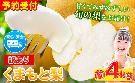 先行予約 くまもと梨 訳あり 熊本県産 約4kg 5玉〜16玉前後[2024年8月末旬-10月中旬頃より出荷予定]