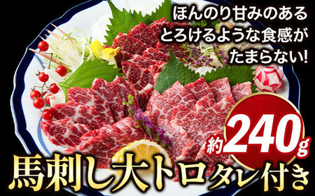 鮮馬刺し大トロ 約240g タレ付き 馬肉 冷凍 [60日以内に出荷予定(土日祝除く)]