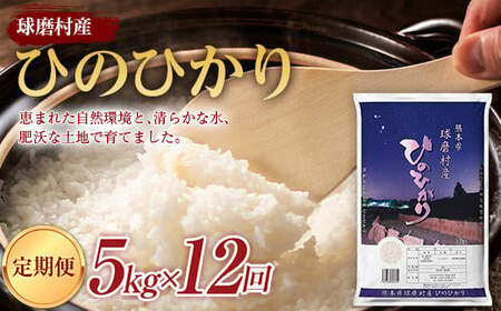 熊本県 【12ヵ月定期】球磨村産ひのひかり5kg FKP9-432