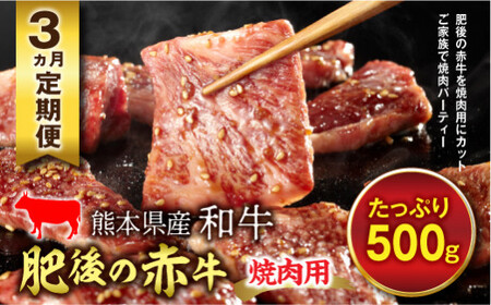 ≪3ヵ月定期≫肥後の赤牛 焼肉用(500g) FKP9-452