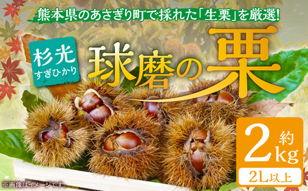 熊本県ＪＡくま産 球磨の栗　杉光 2kg(2L以上) お届け時期：2025年9月上旬～