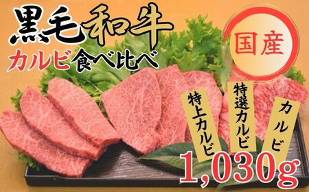 球磨牛 くまもと黒毛和牛カルビ(計1,030g)食べ比べセット