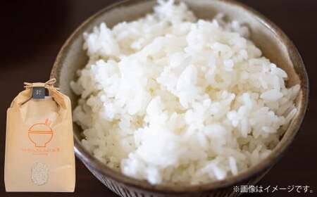 [令和7年産] くまさんの輝き 5kg×1袋 [2025年10月下旬〜2026年3月下旬迄発送予定] お米 米 精米 白米 ごはん ご飯 熊本県 あさぎり町