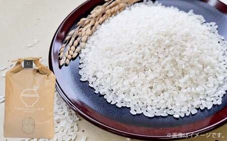 [令和7年産] ヒノヒカリ 5kg×1袋 [2025年10月下旬〜2026年3月下旬迄発送予定] お米 米 精米 白米 ごはん ご飯 熊本県 あさぎり町