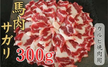 nTK@Jrēp(q)@300gy͂FmFQOŔzn TK Jr ē q nĂ