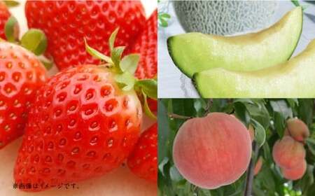 yt[c3ցz ̂ 1kg×4pbN iv4kgj {  AfX 5kg {  1kg y2026N1{`6{\z   C`S    ʕ ʎ t[c