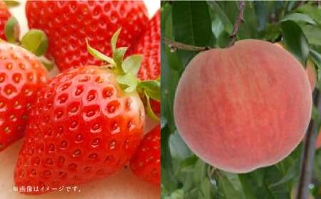 yt[c2ցz ̂ 1kg {  1kg y2026N1{`6{\z   C`S   ʕ ʎ t[c  B F{ 蒬 ①