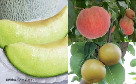 yt[c3ցz AfX 5kg {  1kg {  5kg y2026N5{`10{\z    Ȃ iV a ʕ ʎ t[c  B F{ 蒬