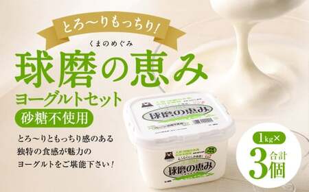 とろ〜り食感!!球磨の恵みヨーグルト 砂糖不使用タイプ 1kg×3パック